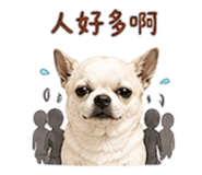 852380426