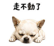 852380427