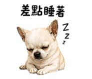 852380430