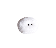 852381305
