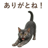 852383377