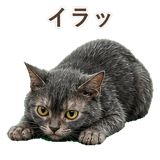 852383378