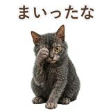 852383379