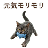 852383380