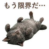 852383381