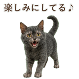 852383383