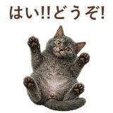 852383389