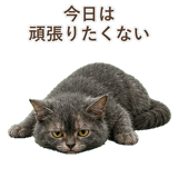 852383390