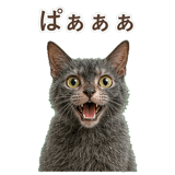 852383402