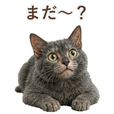 852383404