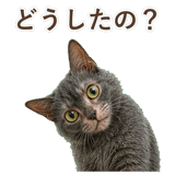 852383406
