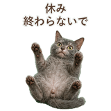 852383409