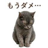 852383412