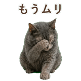 852383414