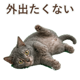 852383415