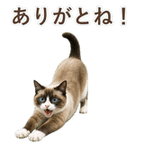 852383417