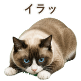 852383418