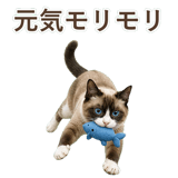 852383420