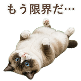 852383421