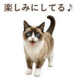 852383423