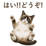 852383429