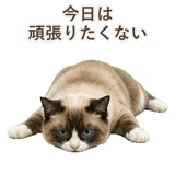 852383430
