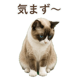 852383432