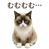 852383434