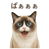 852383442