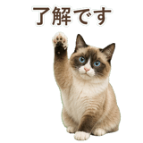 852383443