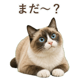 852383444