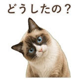 852383446