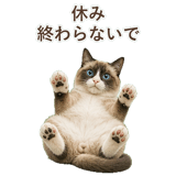 852383449