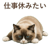 852383450