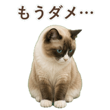 852383452