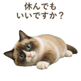 852383453