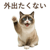 852383455