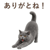 852383537