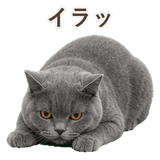 852383538