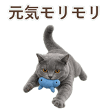 852383540
