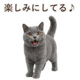 852383543