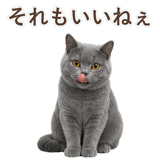 852383545