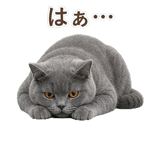 852383546