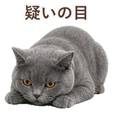 852383547