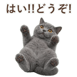 852383549
