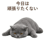 852383550