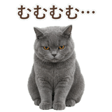 852383554