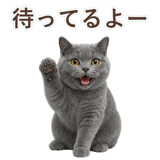 852383555