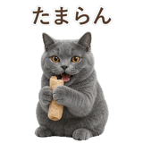 852383556