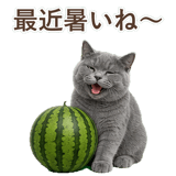852383558